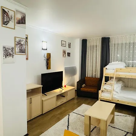 Stenata Huge To Door * Pamporovo