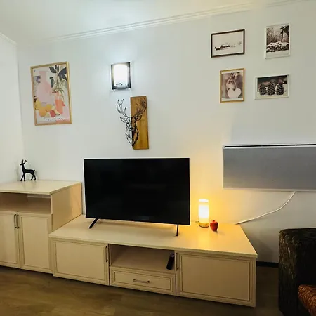 Stenata Huge To Door * Pamporovo