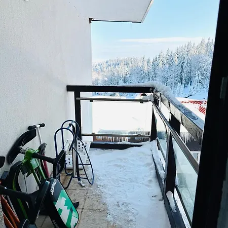 Stenata Huge To Door Lejlighed Pamporovo