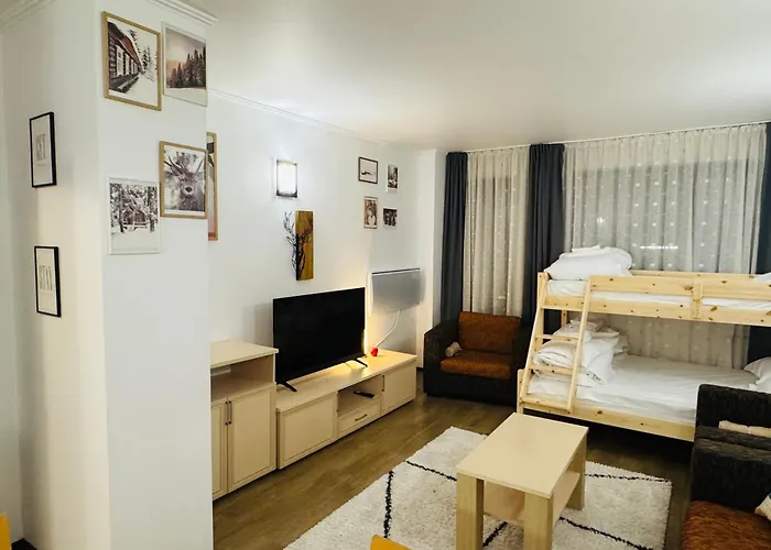 Stenata Huge To Door * Pamporovo