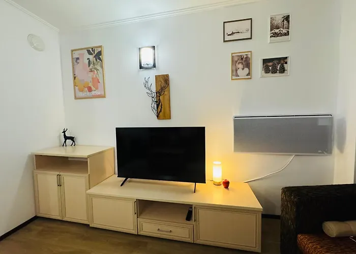 Stenata Huge To Door * Pamporovo