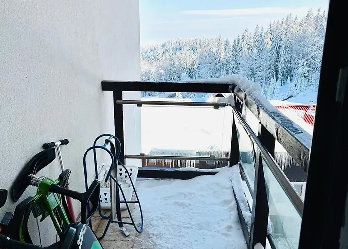 Stenata Huge To Door Apartment Pamporovo